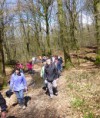 /album/a07-avril-2016-rando-ste-gemmes-le-robert/a2016-04-07-rando-ste-gemmes-18r-jpg/